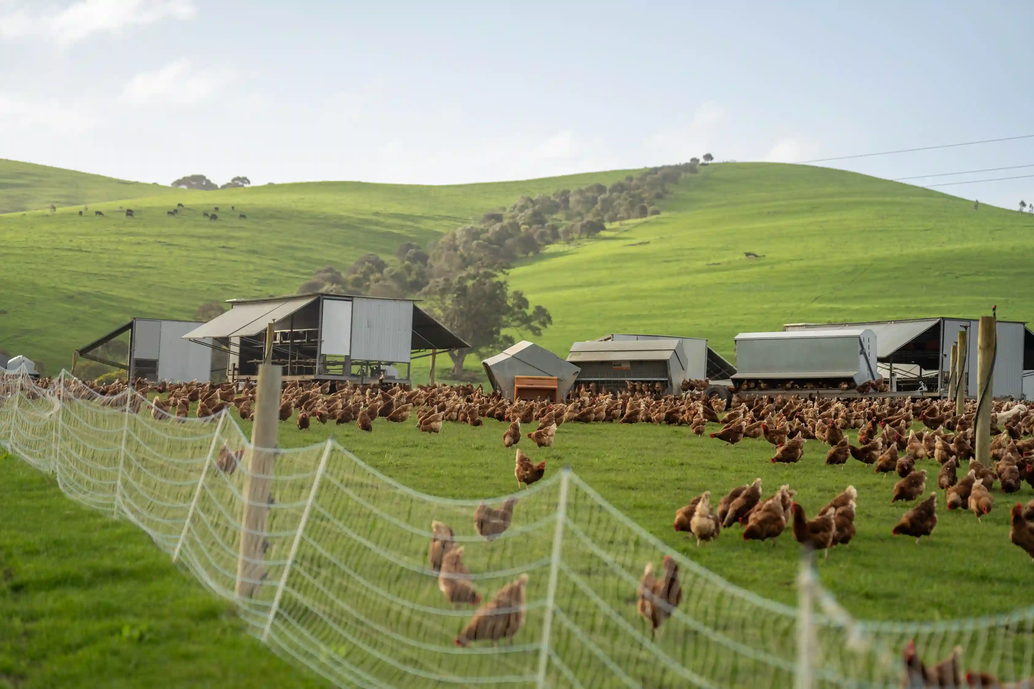 Sustainable Farm